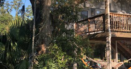 Relaxed waterfront home nestled under a shady oak about 2 miles to Old Town
