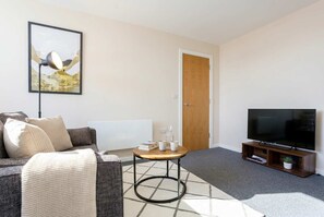 Fernseher, Arbeitsbereiche