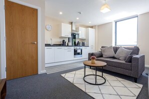 Fernseher, Arbeitsbereiche