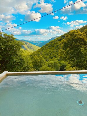 A swimming pool with a view of a lush valley and mountains. - Bergerie au Coeur du Maquis Piscine Privée (Trèves)