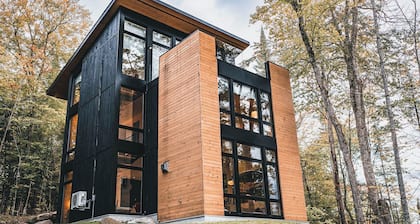 Contemporary in Nature Cabin w/ Spa, Sauna & EV Friendly