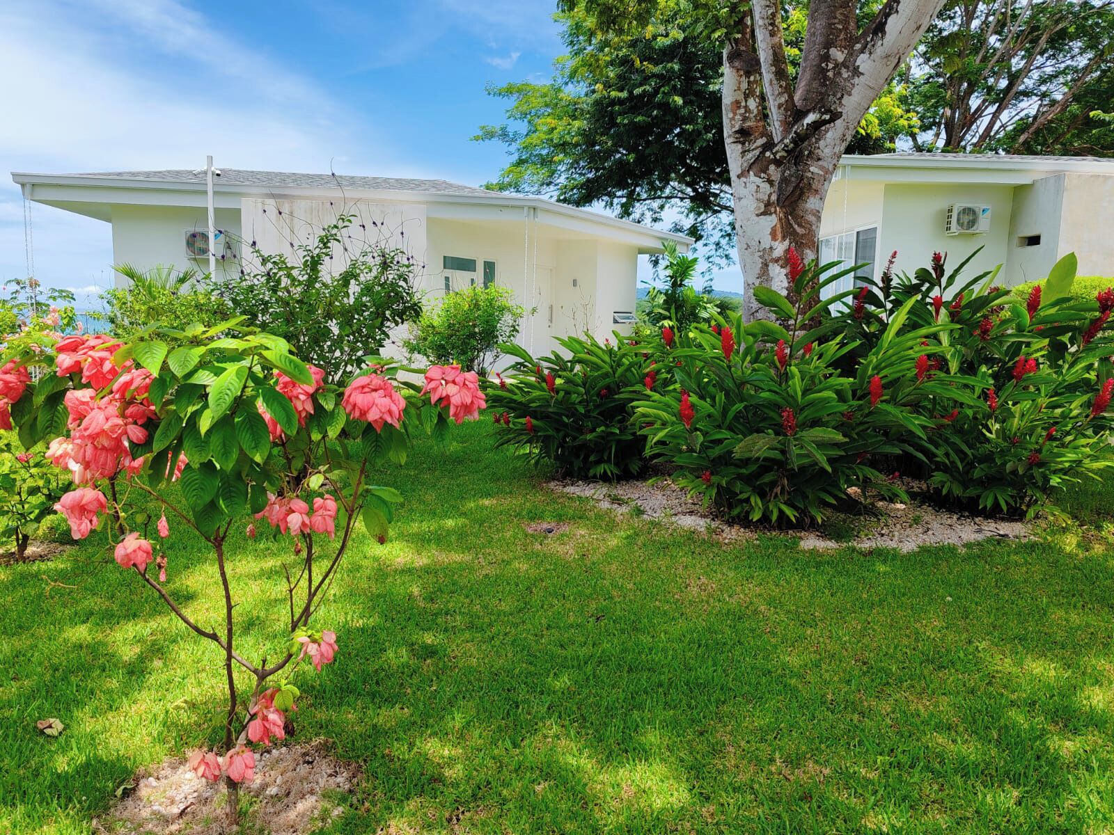 A well-maintained garden with flowering plants and a white building with a flat roof.
