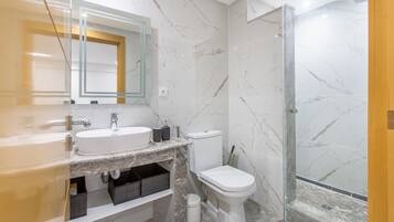 Shower, towels, toilet paper