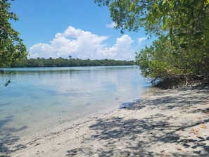 Une plage avec une eau claire, des arbres et une côte visible au loin.