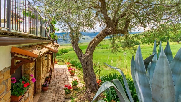 A stone house with a balcony, potted plants, and a view of a green landscape. - Villa Olmo With Private Pool (Castel di Lucio)