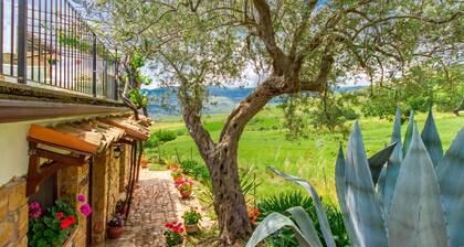 Villa Olmo With Private Pool
