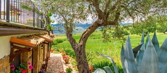 Villa Olmo With Private Pool