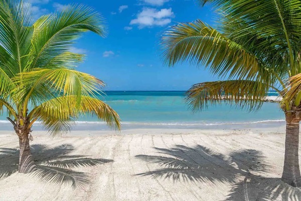 Accommodatie ligt op het strand, ligstoelen, strandlakens