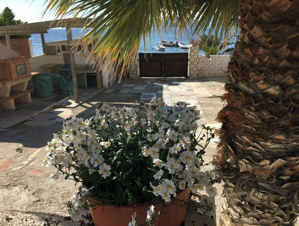 Terrein van de accommodatie