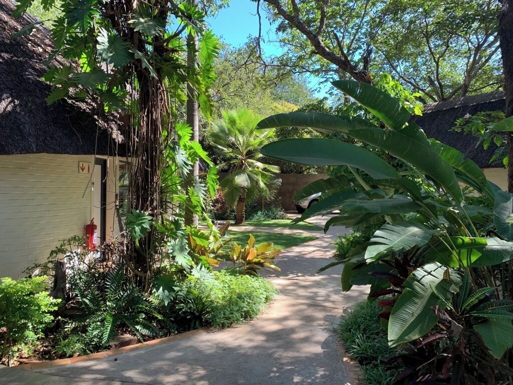 Giardino