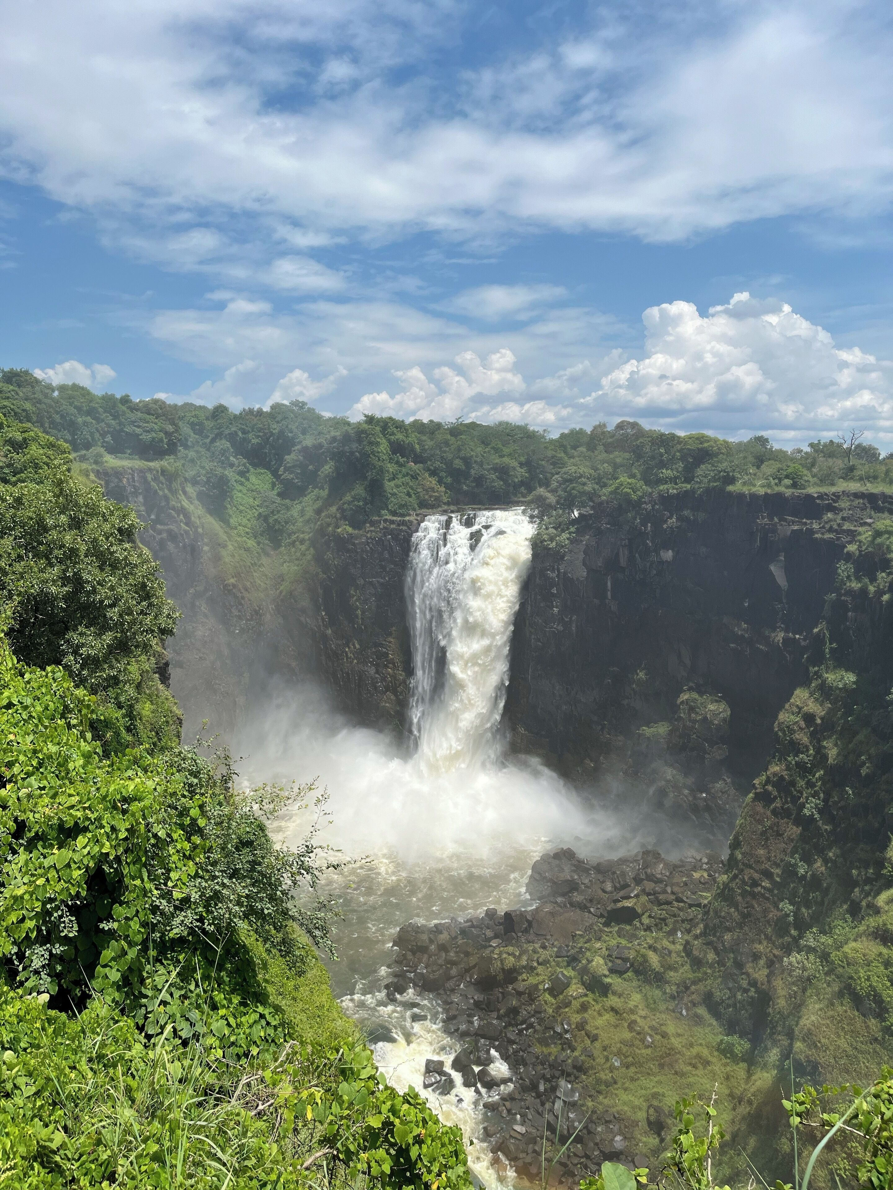 A waterfall surrounded by lush greenery.