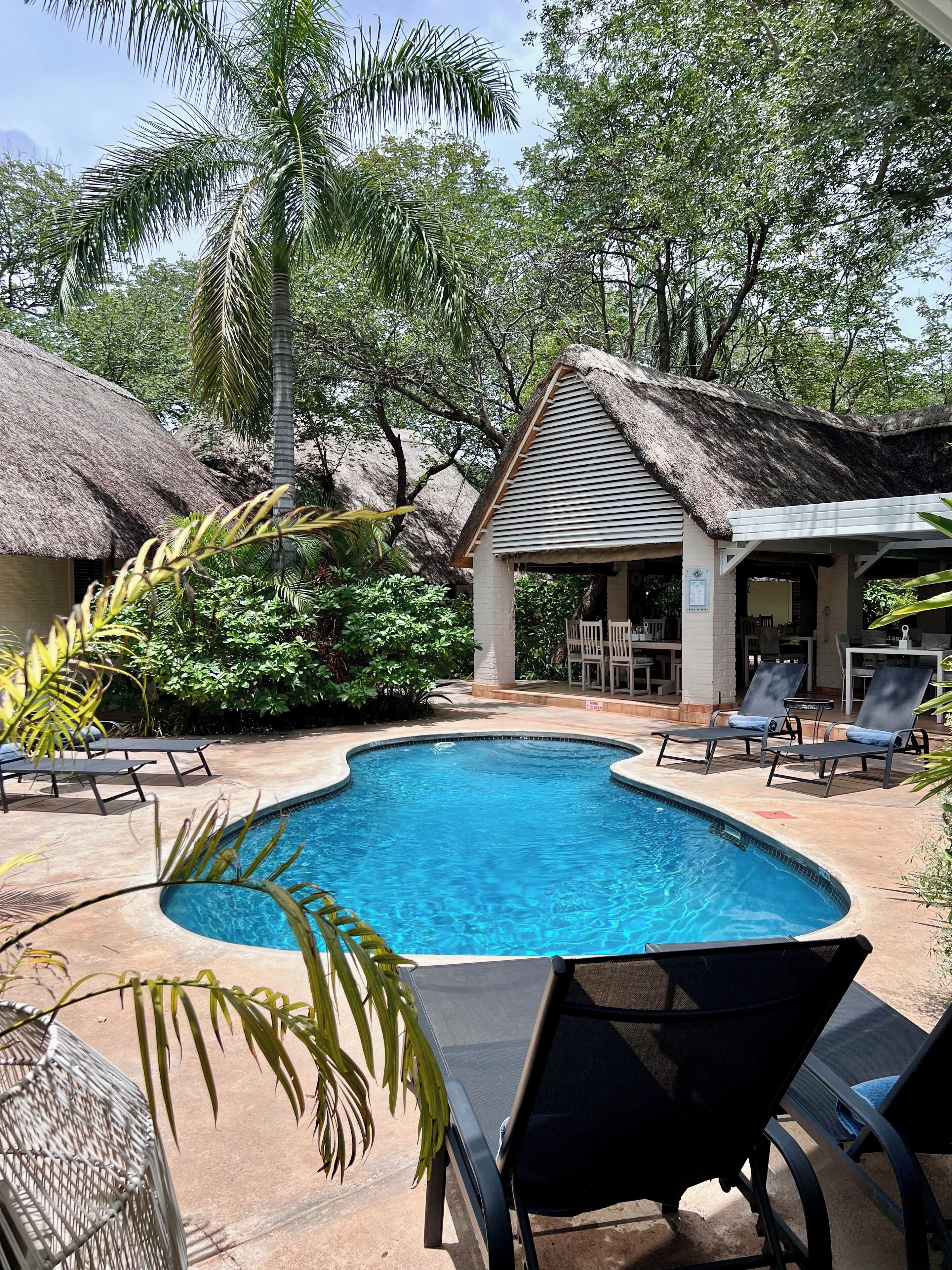 A swimming pool with lounge chairs, a thatched-roof structure, and lush greenery.