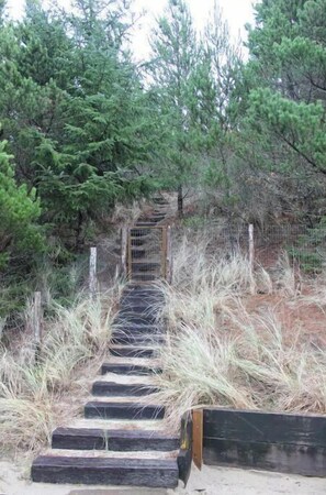 Steps lead to an entrance surrounded by lush evergreen trees.