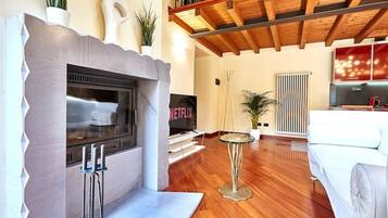 Smart TV, fireplace, books