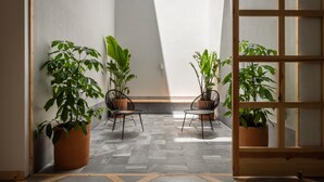 Una habitación moderna con dos sillas, una ventana con marco de madera y plantas en macetas.