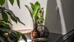 Un rincón con una planta en maceta, una mesa redonda y dos sillas.