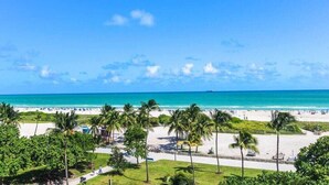 A beach view with palm trees, a clear sky, and a distant ship.