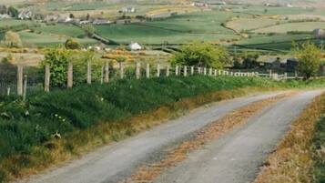 Un camino rural con una cerca a un lado y un paisaje montañoso en la distancia.