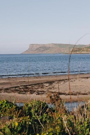 A coastal landscape with a sandy beach, a cliff in the background, and vegetation in the foreground.