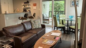 Smart TV, fireplace, books