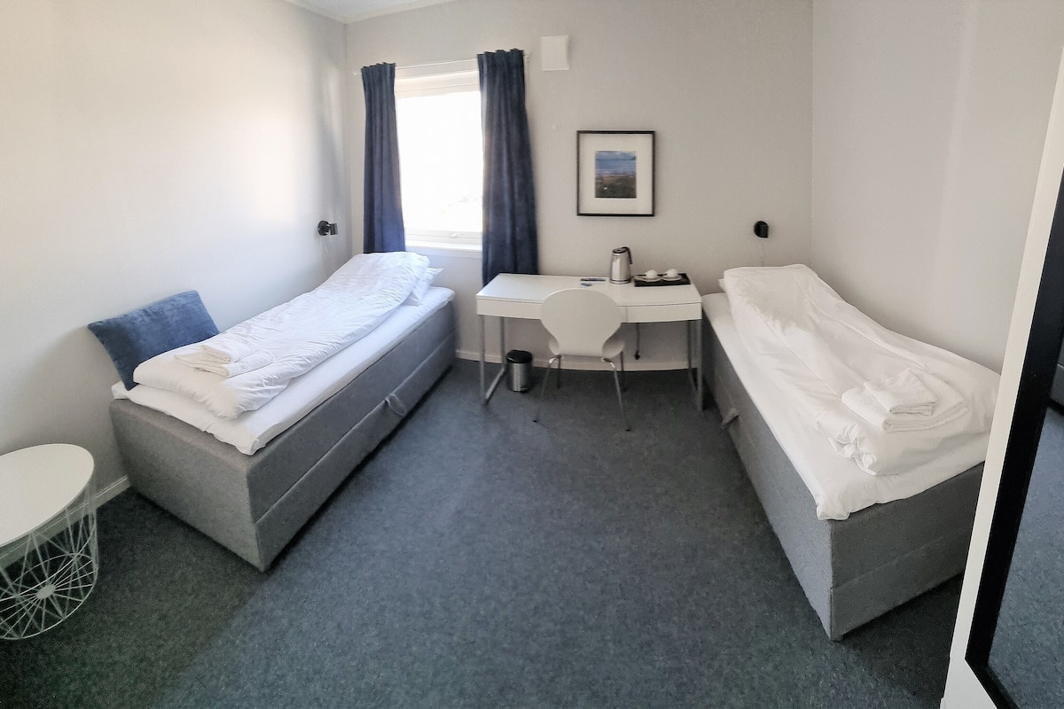 Economy kamer, 1 twee- of 2 eenpersoonsbedden, uitzicht op park | Een laptopwerkplek, verduisterende gordijnen