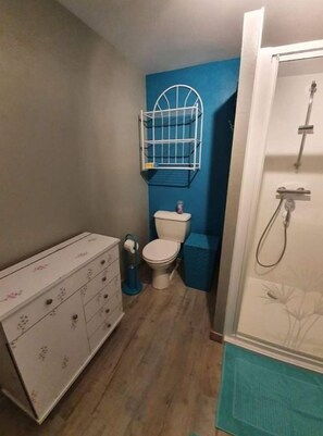 Shower, hair dryer, towels, toilet paper