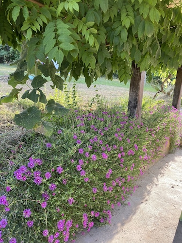 Maison en pierre à la campagne en Périgord