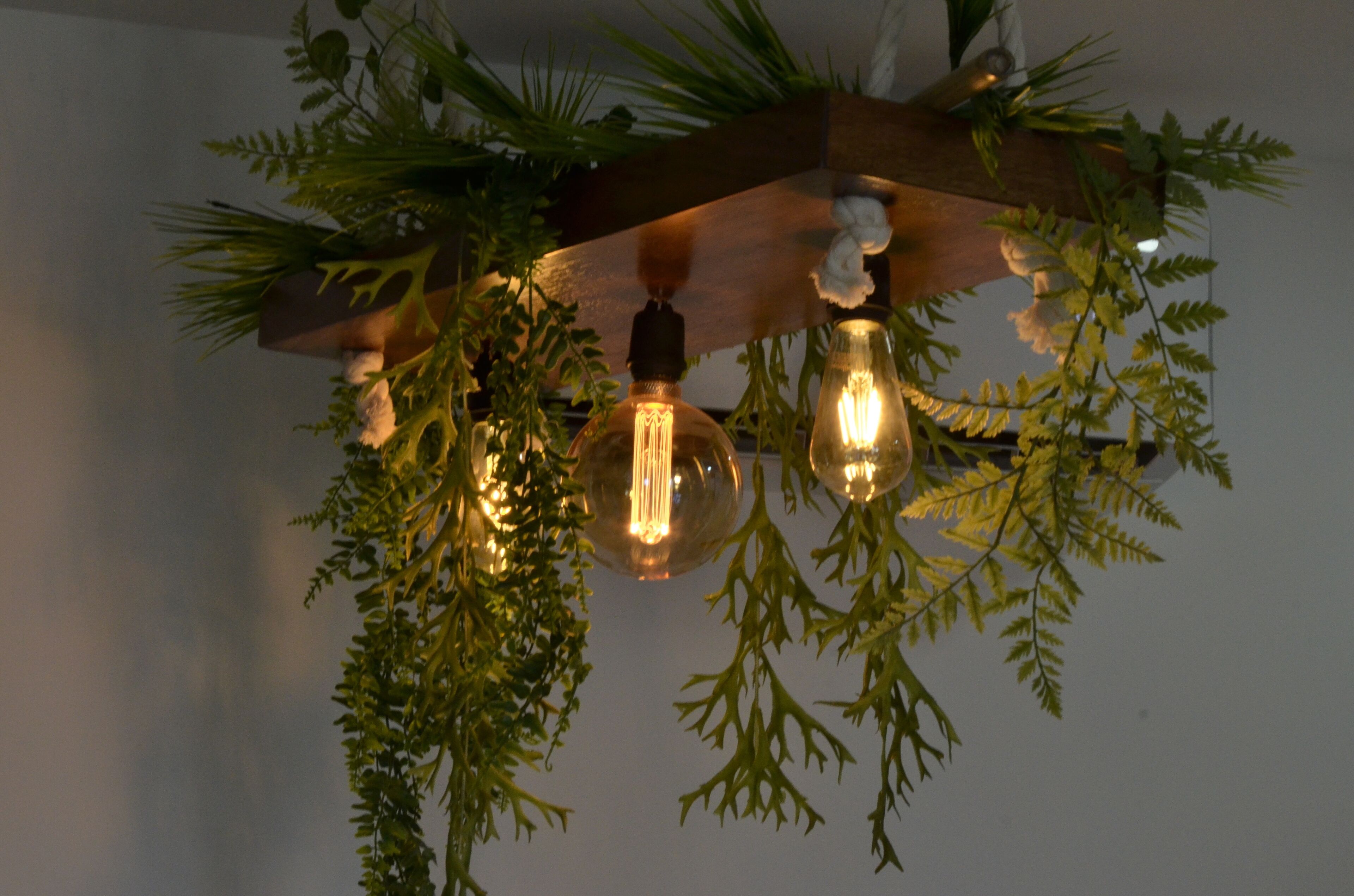 Un soffitto con tre lampadine a vista e verdeggiante vegetazione.