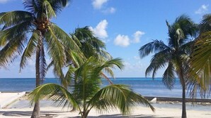 A beach with palm trees and a clear view of the ocean.