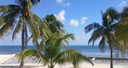 Best Western Grand Baymen Gardens