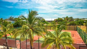 A tennis court surrounded by palm trees and a green fence.