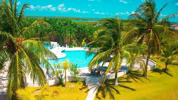 A pool surrounded by palm trees, a pathway, and a view of the ocean.