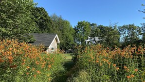 Et hus med skråt tag, omgivet af en have med orange blomster, og en klar blå himmel.