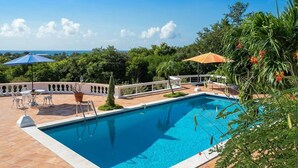 Una piscina rectangular con un borde de baldosas, rodeada de vegetación y un cielo despejado.