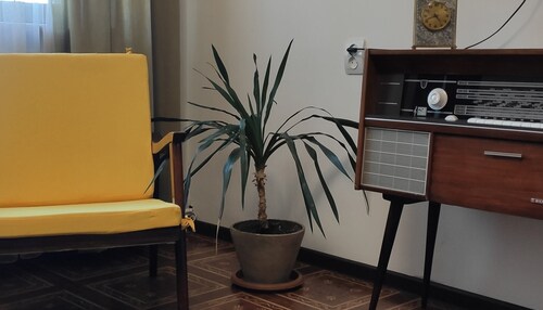 Apartment 11 in Gyumri