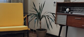 Apartment 11 in Gyumri