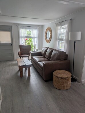 Smart TV, DVD player, books