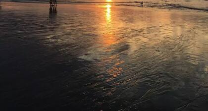 Pet Friendly - Bougie Beach Bungalow