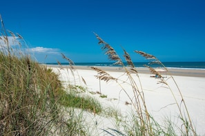 Ein Strand mit Dünen und hohem Gras im Vordergrund, der in einen klaren, blauen Himmel und Ozean im Hintergrund übergeht.