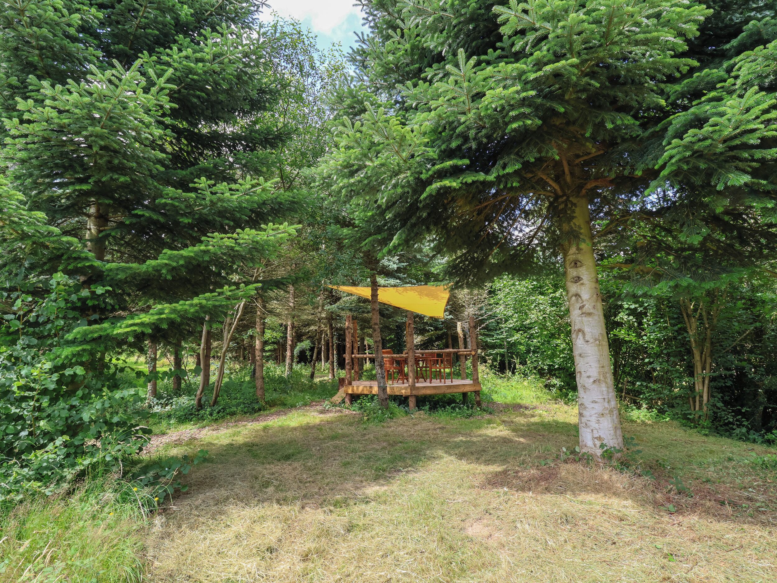 A wooden deck with a yellow canopy, surrounded by dense green trees.