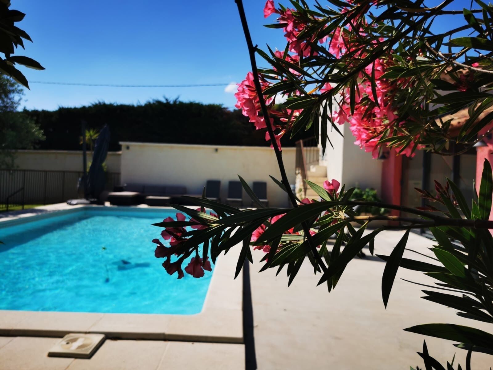 Une piscine à l’eau d’un bleu cristallin, entourée d’une terrasse carrelée.