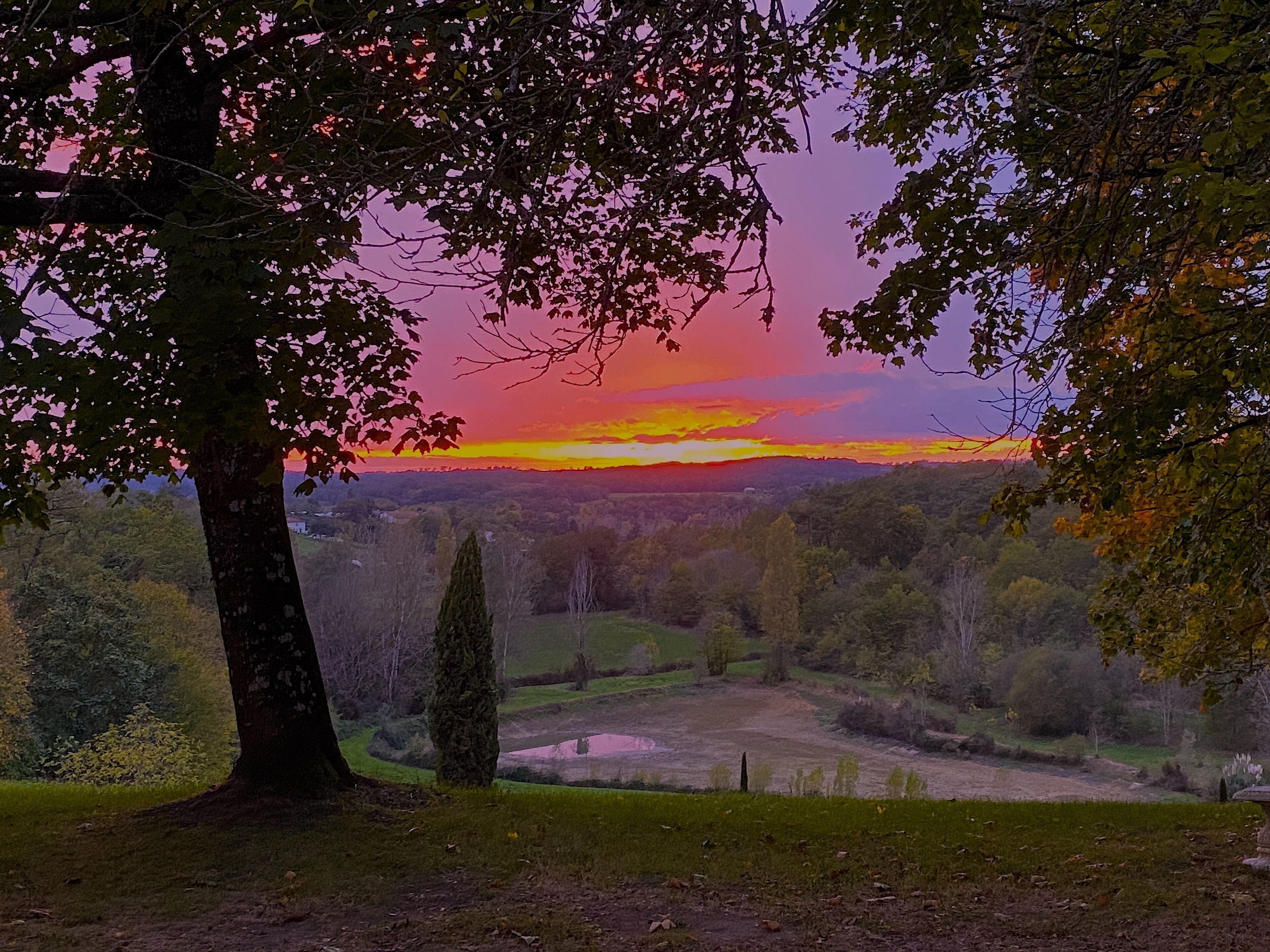 A landscape with a tree in the foreground and a sunset in the background.