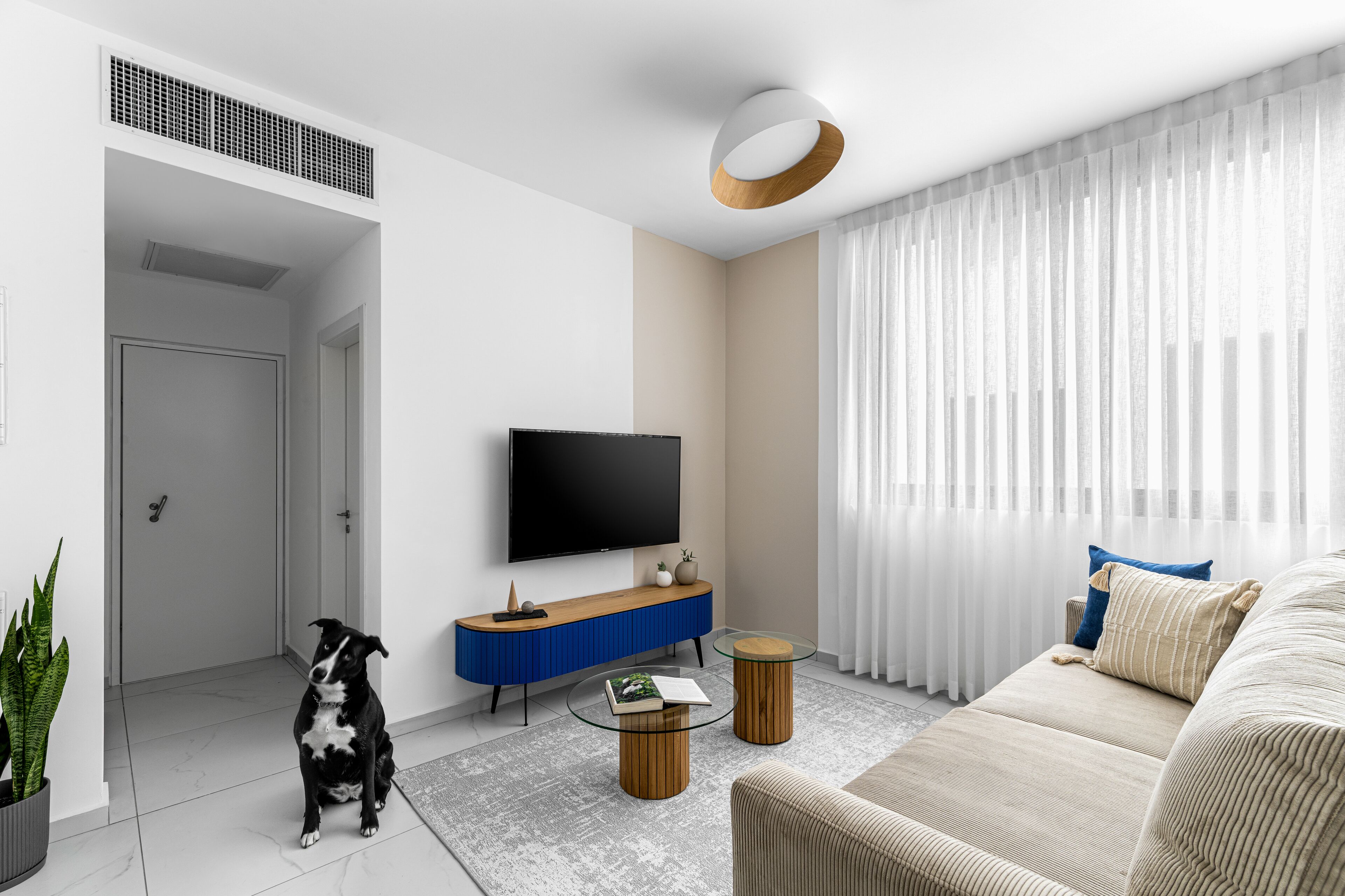 A modern living room with a flat-screen TV, a sofa, a coffee table, and a dog.