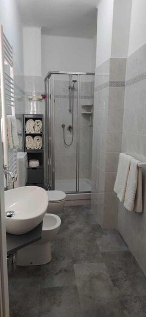 Shower, hair dryer, bidet, towels