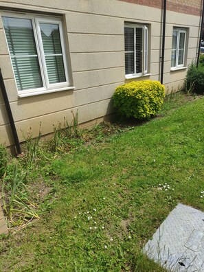 A residential building with a well-maintained lawn, a small yellow bush, and a paved walkway.