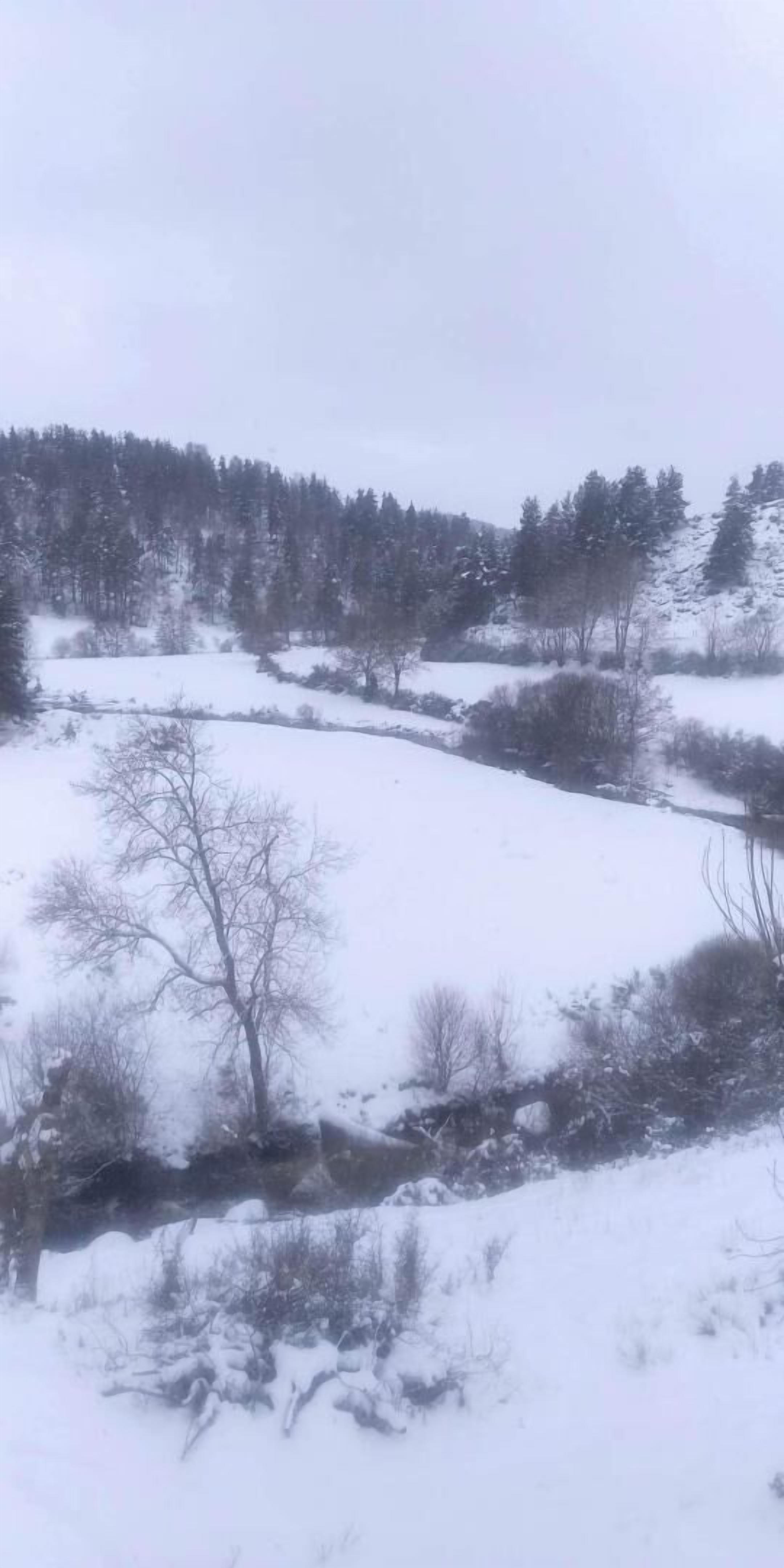 Un paisaje nevado con un río, árboles y un muro de piedra.