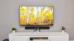 Una camera da letto moderna con una TV a parete, una cassettiera bianca e due piccoli vasi con piante.