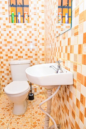 Shower, towels, soap, toilet paper