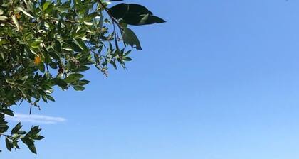 Manchioneal - Private Studio Fully Equipped