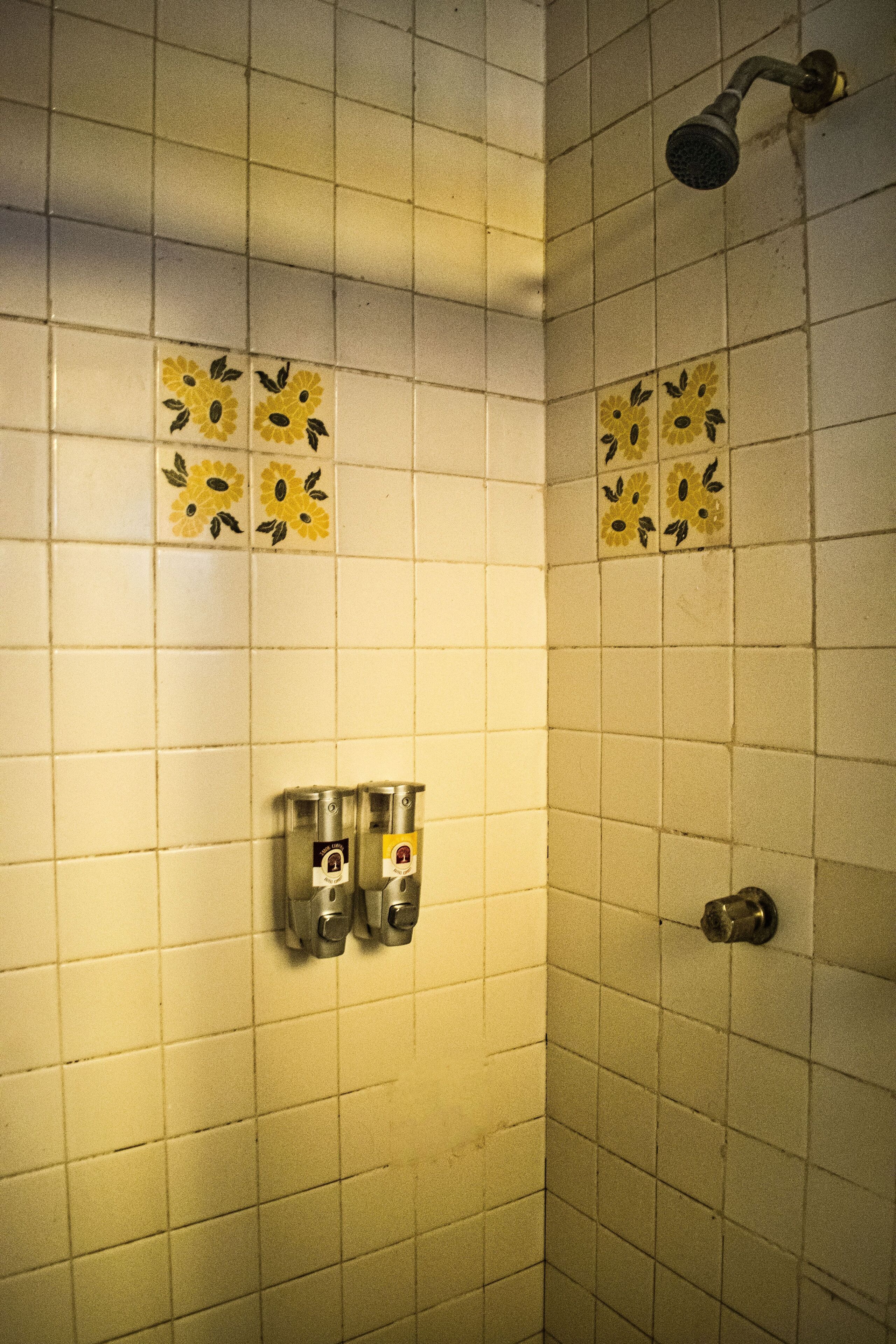 Photo - Hotel Cupules